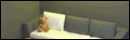 Super Cute Teddy Escape