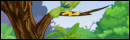Escape Treasure From Crocodile